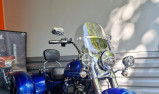 HARLEY-DAVIDSON TRIKE FREEWHEELER 1745