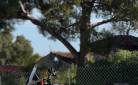 KTM 890 ADVENTURE R 2025 