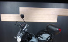 HYMALAYAN 450