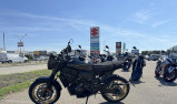 YAMAHA XSR 700 35KW XTribute