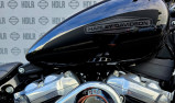 HARLEY-DAVIDSON SOFTAIL STANDARD 1745