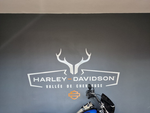 HARLEY-DAVIDSON SOFTAIL LOW RIDER 1745