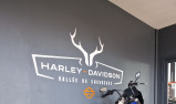 HARLEY-DAVIDSON SOFTAIL LOW RIDER 1745