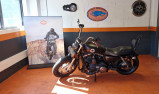 HARLEY-DAVIDSON SPORTSTER CUSTOM 1200 LIMITED