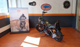 HARLEY-DAVIDSON SPORTSTER CUSTOM 1200 LIMITED