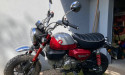 HONDA ZB 125 MA MONKEY BV5