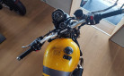 TRIUMPH SCRAMBLER 900