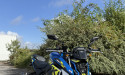 SUZUKI GSX-S 950