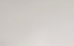 TRIUMPH SPEED TRIPLE RS