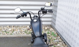 HARLEY-DAVIDSON SPORTSTER IRON 883