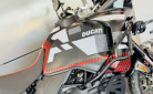 DUCATI DESERT X TERMIGNONI ET NOMBREUSES OPTIONS - DESERT X - DESERT-X