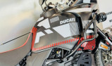 DUCATI DESERT X TERMIGNONI ET NOMBREUSES OPTIONS - DESERT X - DESERT-X