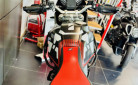 DUCATI DESERT X TERMIGNONI ET NOMBREUSES OPTIONS - DESERT X - DESERT-X