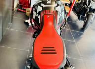 DUCATI DESERT X TERMIGNONI ET NOMBREUSES OPTIONS - DESERT X - DESERT-X