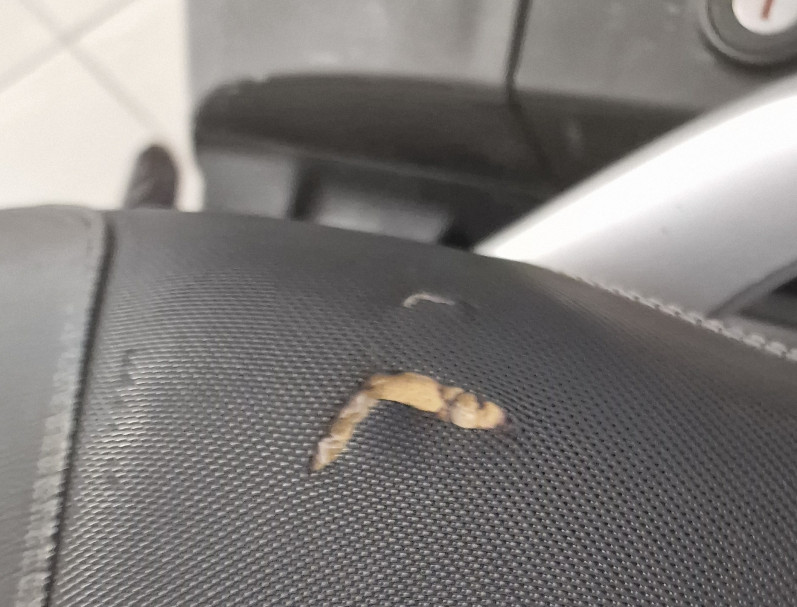 MOTO GUZZI NORGE 1200