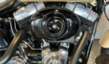 HARLEY-DAVIDSON SOFTAIL SLIM 1690