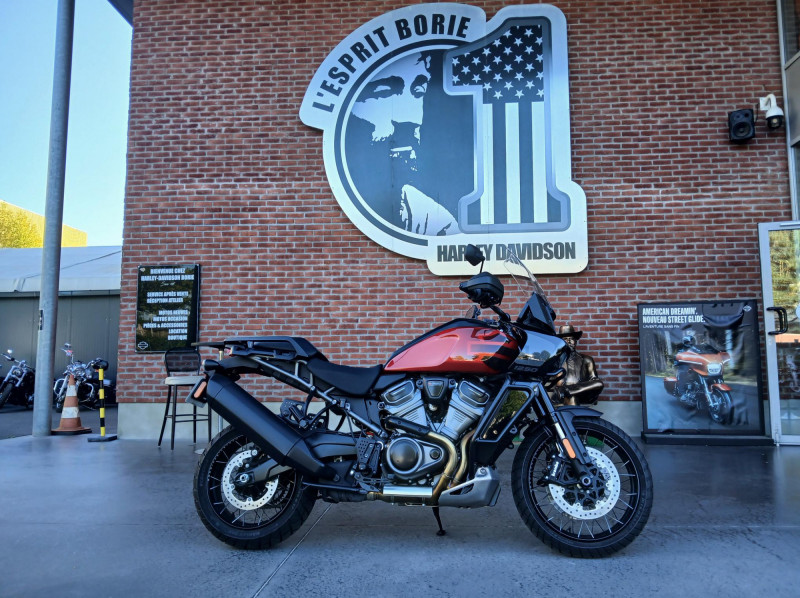 HARLEY-DAVIDSON ADVENTURE PAN AMERICA 1250 SPECIAL