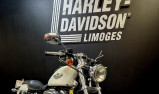 HARLEY-DAVIDSON SPORTSTER CUSTOM 883