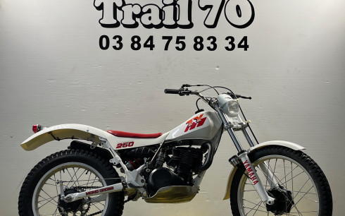 YAMAHA TY 250  1991