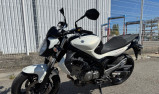 SUZUKI GLADIUS 650