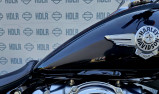 HARLEY-DAVIDSON SOFTAIL FAT BOY 1745