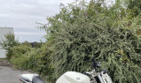 YAMAHA XJ6-N
