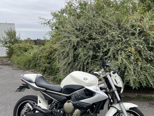 YAMAHA XJ6-N