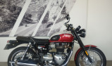 TRIUMPH BONNEVILLE T100 BUD EKINS - 07/2020 - 33420 KMS