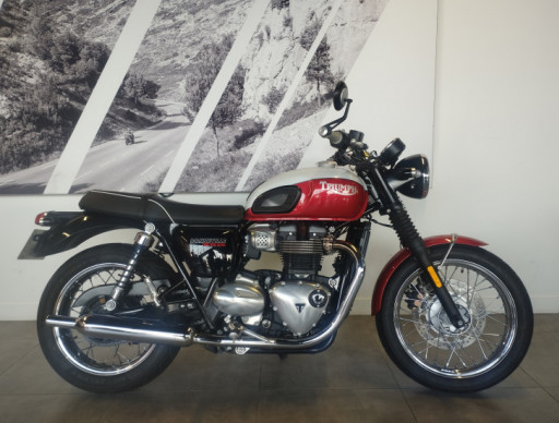 TRIUMPH BONNEVILLE T100 BUD EKINS - 07/2020 - 33420 KMS