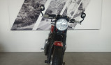 TRIUMPH BONNEVILLE T100 BUD EKINS - 07/2020 - 33420 KMS