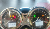 TRIUMPH BONNEVILLE T100 BUD EKINS - 07/2020 - 33420 KMS