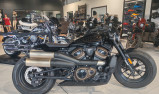 HARLEY-DAVIDSON SPORTSTER 1250 S BLACK 2022