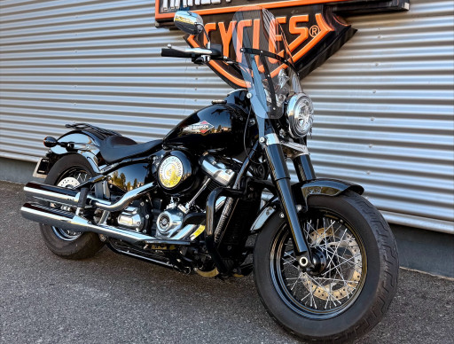 HARLEY-DAVIDSON SOFTAIL SLIM 1745