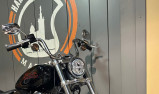 HARLEY-DAVIDSON SOFTAIL STANDARD 1745