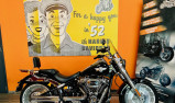 HARLEY-DAVIDSON SOFTAIL FAT BOY 114 Ci
