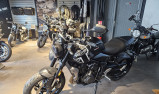 TRIUMPH TRIDENT 660