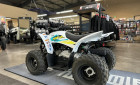 YAMAHA YFZ 50 RAPTOR