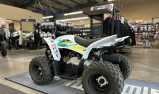 YAMAHA YFZ 50 RAPTOR