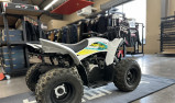 YAMAHA YFZ 50 RAPTOR