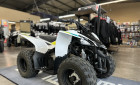 YAMAHA YFZ 50 RAPTOR