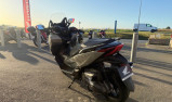 FORZA 350 GRIS NARDO