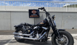 HARLEY-DAVIDSON SOFTAIL SPRINGER 1584 CROSS BONES