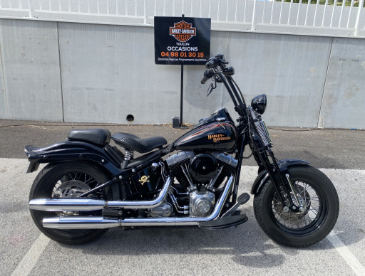 HARLEY-DAVIDSON SOFTAIL SPRINGER 1584 CROSS BONES