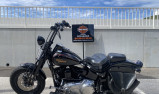 HARLEY-DAVIDSON SOFTAIL SPRINGER 1584 CROSS BONES