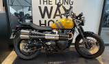 TRIUMPH SCRAMBLER 900 - BRIDEE A2 - 07/2024 - OCCASION - 1100 KMS