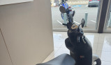 YAMAHA NEO
