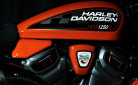 HARLEY-DAVIDSON 1250 SUPER HOOLIGAN/ROADSTER PAN AMERICA