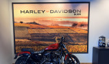HARLEY-DAVIDSON SPORTSTER IRON 883