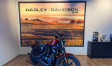 HARLEY-DAVIDSON SPORTSTER IRON 883