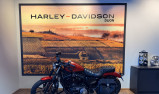 HARLEY-DAVIDSON SPORTSTER IRON 883